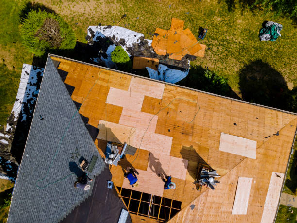 Best Roof Waterproofing Services  in Freeman, SD