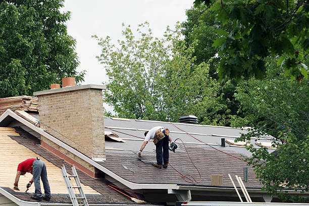 Best Shingle Roofing Installation  in Freeman, SD