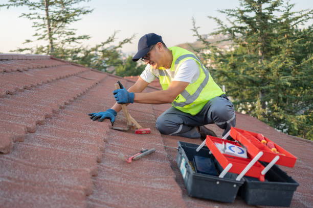 Best New Roof Installation  in Freeman, SD