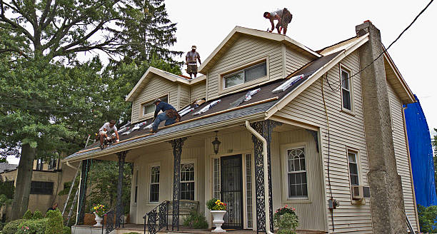 Best Roof Repair Specialists  in Freeman, SD