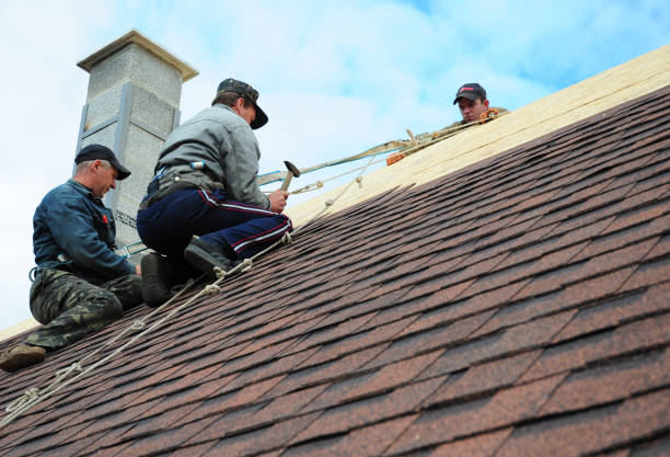 Best Storm Damage Roof Repair  in Freeman, SD